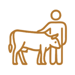 Humanely raised and Ethically Handled