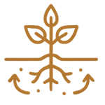 Soil Health & Environmental Stewardship